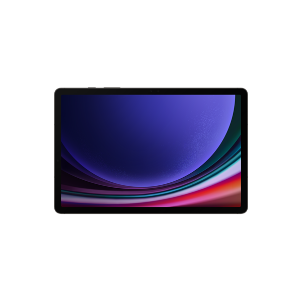 SAMSUNG Tablet - GALAXY TAB S9 5G (12/256GB), GRAY