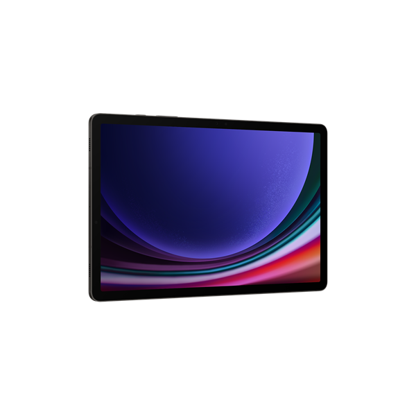SAMSUNG Tablet - GALAXY TAB S9 5G (12/256GB), GRAY