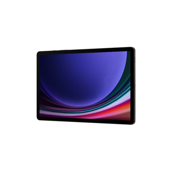 SAMSUNG Tablet - GALAXY TAB S9 5G (12/256GB), GRAY