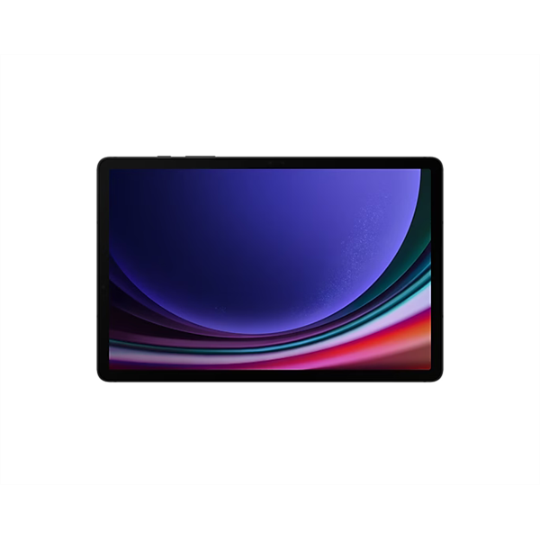 SAMSUNG Tablet - GALAXY TAB S9 WiFi (8/128GB), GRAY
