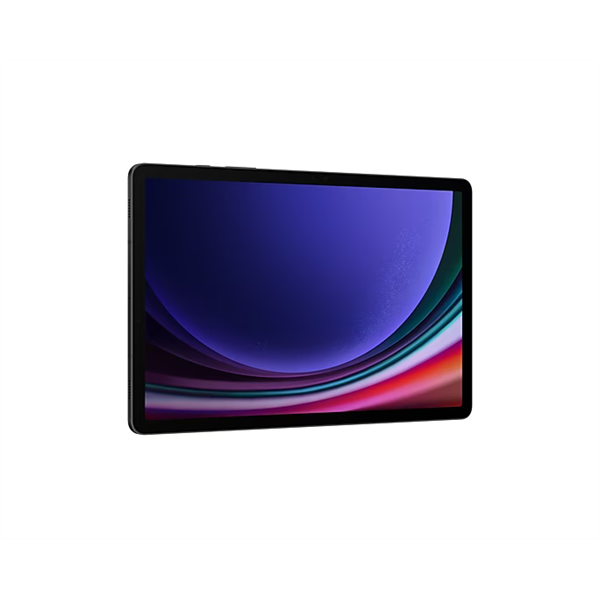 SAMSUNG Tablet - GALAXY TAB S9 WiFi (8/128GB), GRAY